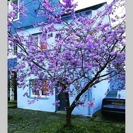 Albion Cottage Cockermouth Zewnętrze zdjęcie