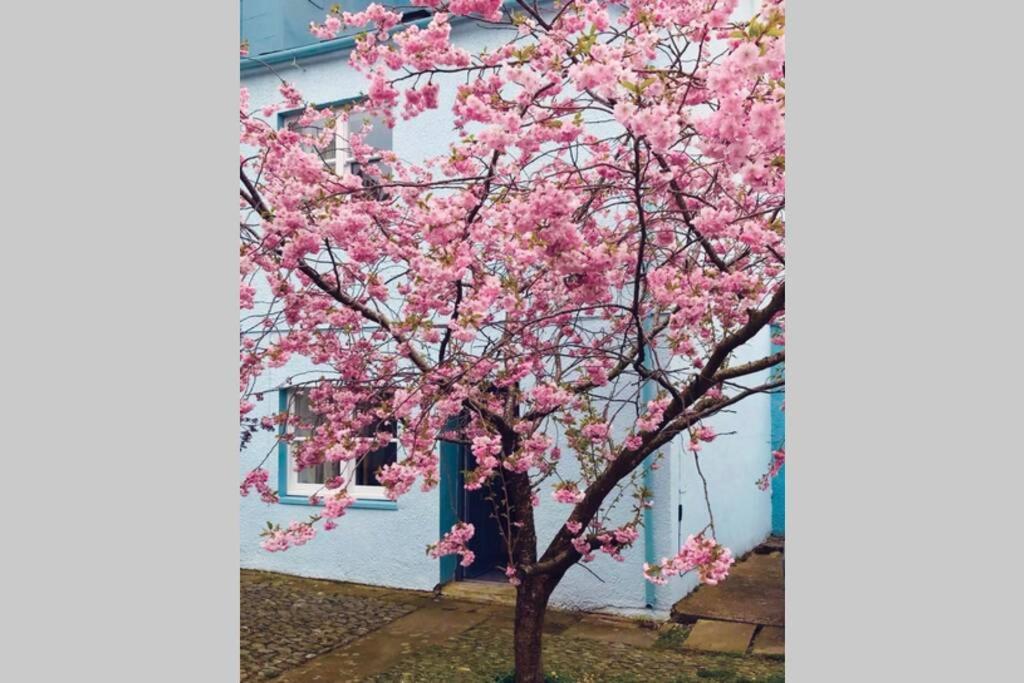 Albion Cottage Cockermouth Zewnętrze zdjęcie