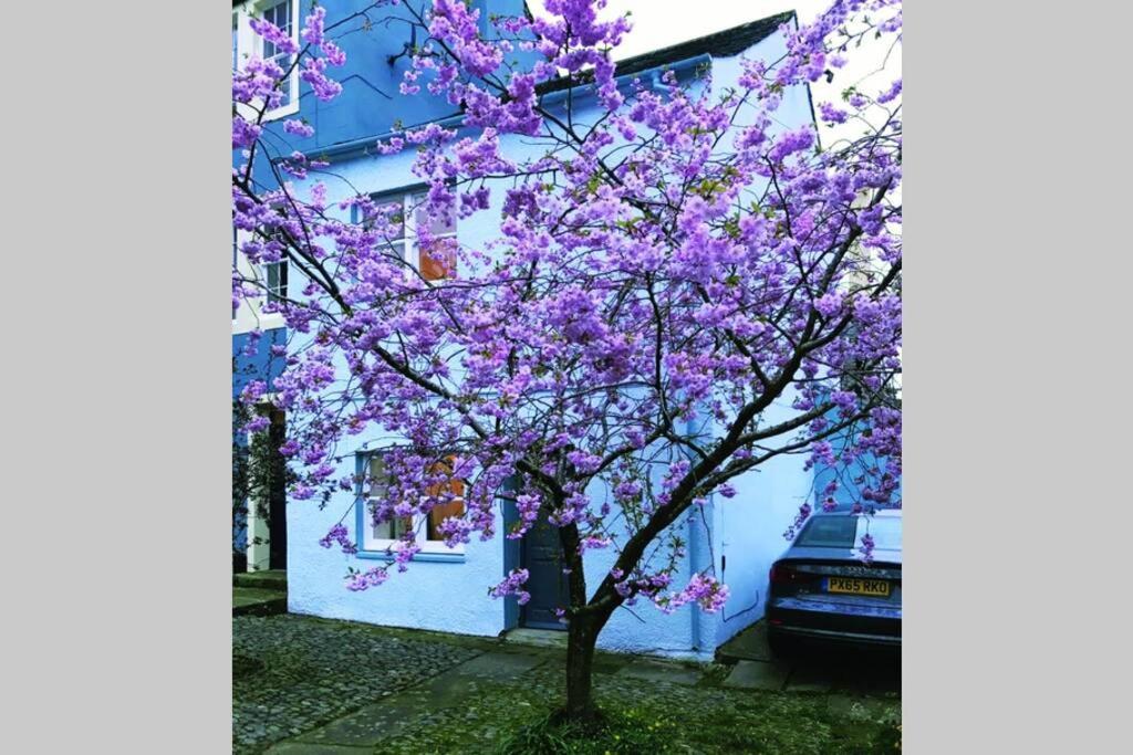 Albion Cottage Cockermouth Zewnętrze zdjęcie